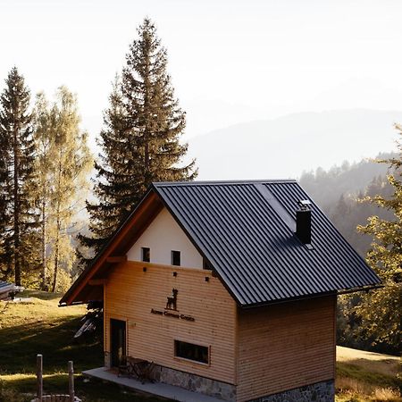 Alpine Cottage Golica Jesenice Extérieur photo
