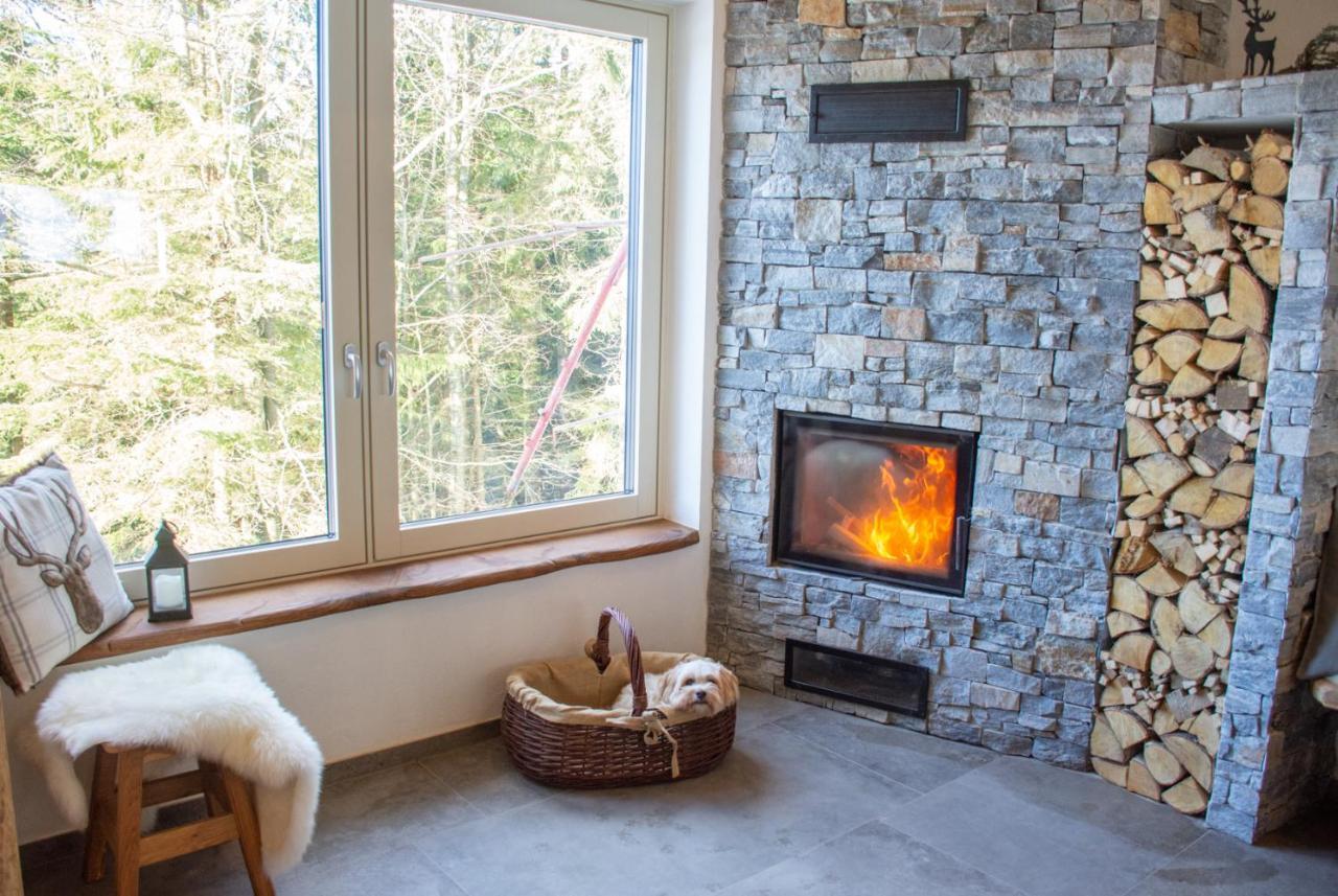 Alpine Cottage Golica Jesenice Extérieur photo