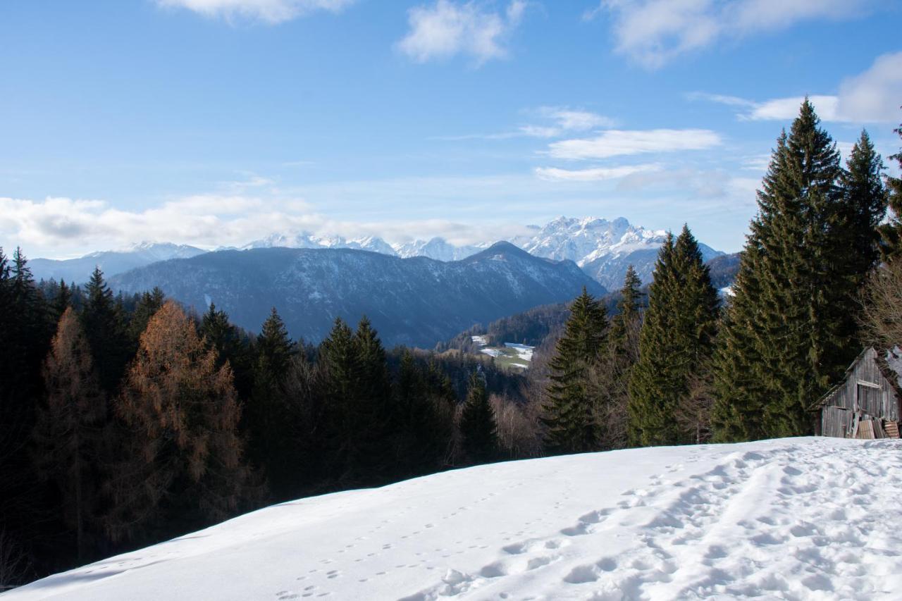 Alpine Cottage Golica Jesenice Extérieur photo