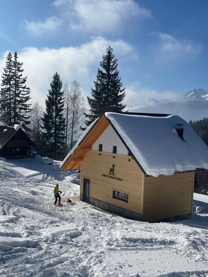 Alpine Cottage Golica Jesenice Extérieur photo