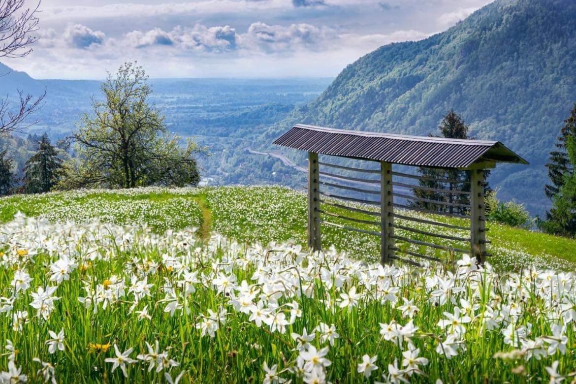 Alpine Cottage Golica Jesenice Extérieur photo