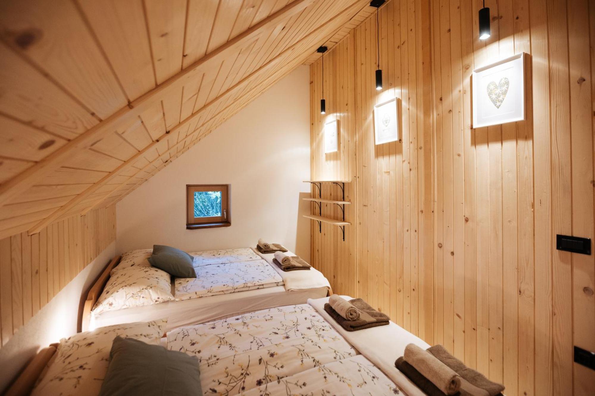 Alpine Cottage Golica Jesenice Extérieur photo